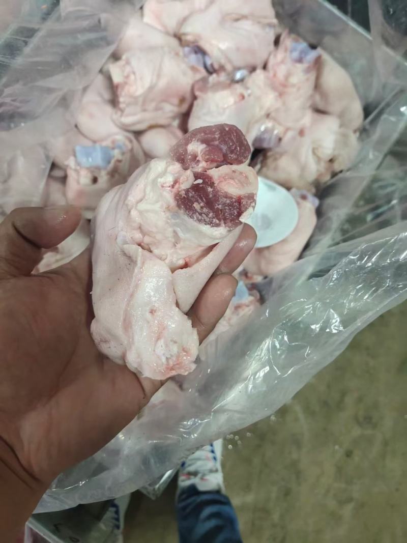 国产脚圈，拐骨，鲜品分割，天天生产，干净无毛，量大从优