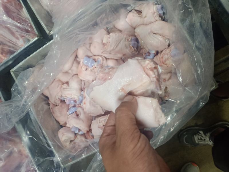 国产脚圈，拐骨，鲜品分割，天天生产，干净无毛，量大从优