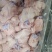 国产脚圈，拐骨，鲜品分割，天天生产，干净无毛，量大从优