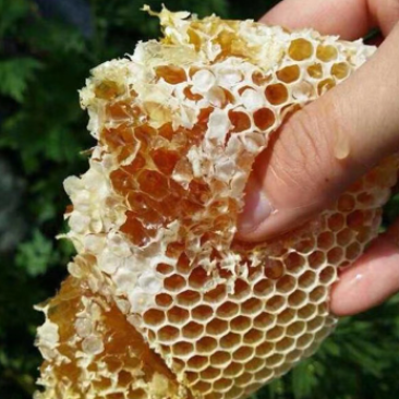 蜂蜜