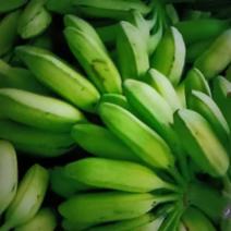 正家山区自种大蕉大芭蕉大牛蕉9斤为—件包邮。
