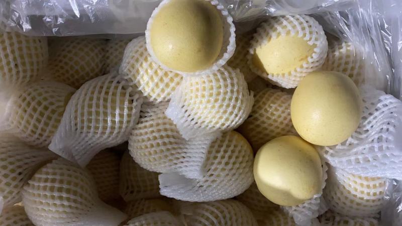 皇冠梨大量有货口感好个头大价格便宜