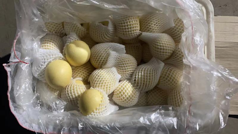 皇冠梨大量有货口感好个头大价格便宜