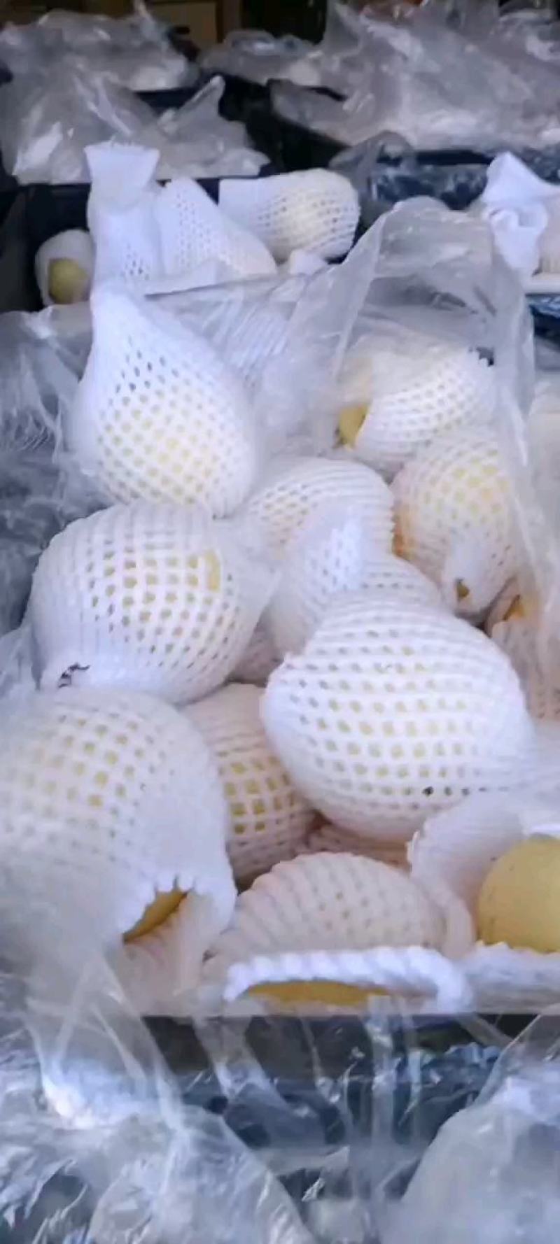 皇冠梨大量有货口感好个头大价格便宜