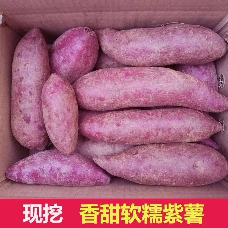 农家自己种的紫罗兰红薯，品质好，一件代发，包邮。