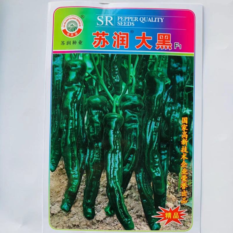苏润大黑薄皮皱皮辣椒种子质脆味辣黑绿色皱皱辣种子抗病