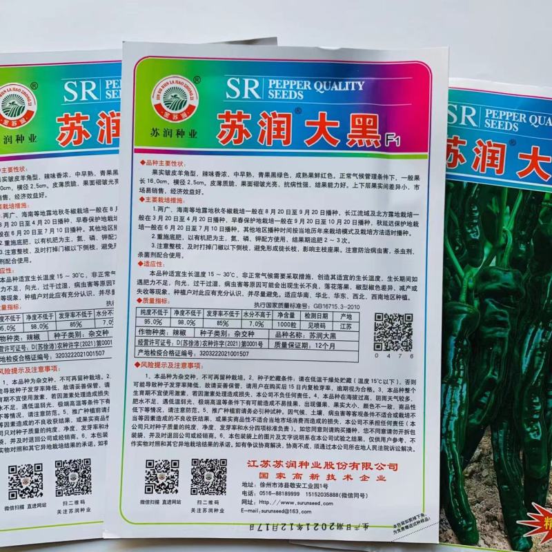 苏润大黑薄皮皱皮辣椒种子质脆味辣黑绿色皱皱辣种子抗病
