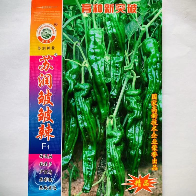 苏润大黑薄皮皱皮辣椒种子质脆味辣黑绿色皱皱辣种子抗病