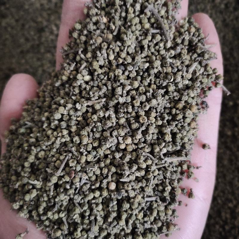 【文斌药业】吴茱萸小花吴茱萸正品气味纯正