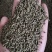 【文斌药业】吴茱萸小花吴茱萸正品气味纯正