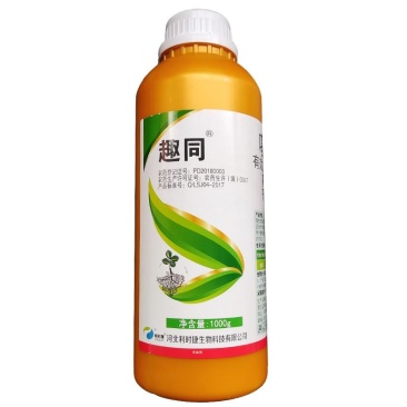 噻虫胺20%悬浮剂稻飞虱地蛆韭蛆蒜蛆杀虫剂
