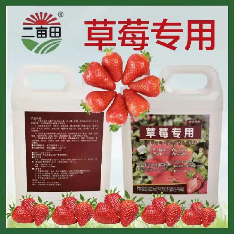 草莓专用促进花芽化花芽壮保花保果，减少畸形果，抗病不早衰