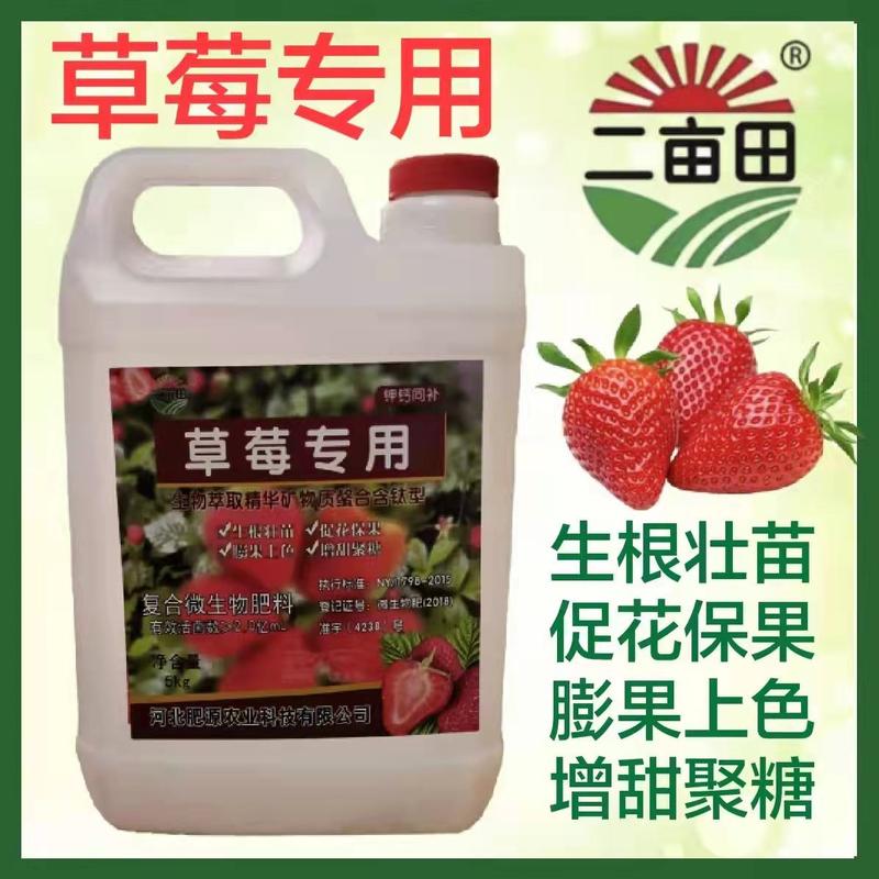 草莓专用促进花芽化花芽壮保花保果，减少畸形果，抗病不早衰