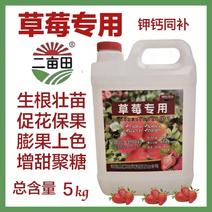 草莓专用肥复合微生物肥料生根壮苗增甜