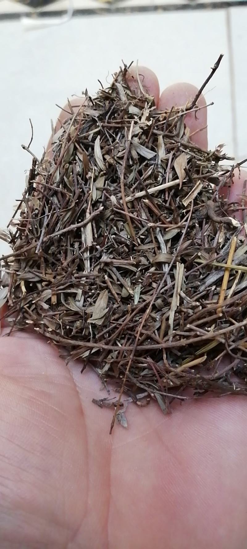 姜味草中药材干货无硫不满意可退换货