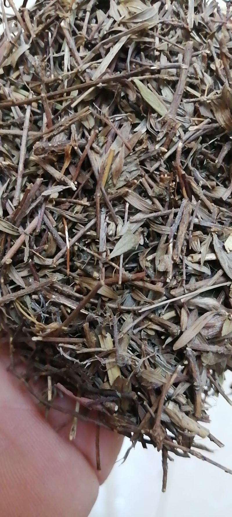 姜味草中药材干货无硫不满意可退换货