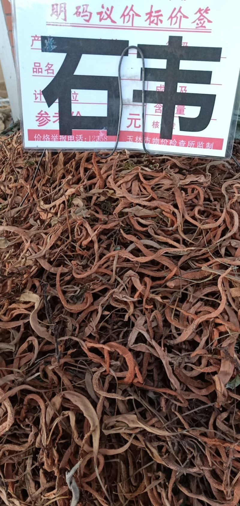 石韦叶有大量货源充足，有大货来选购，质量很好，货对板。。