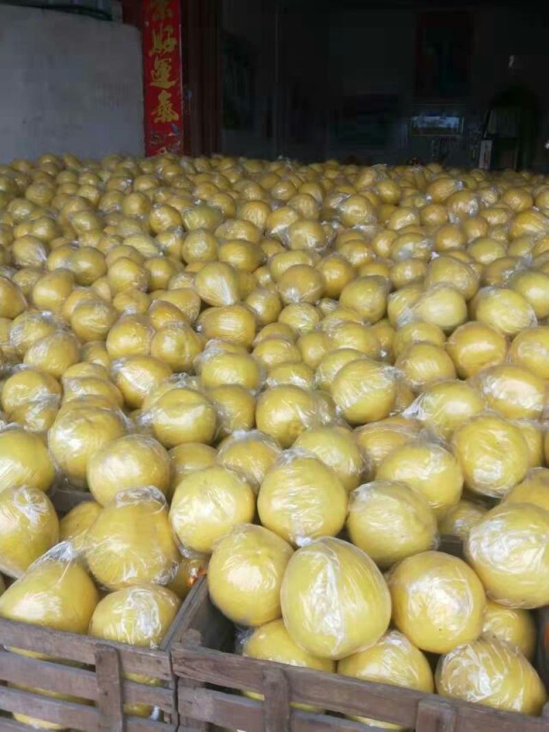 江永老树香柚，皮薄多汁，农户一手货源，无中间商，价格美丽