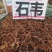 石韦叶有大量货源充足，有大货来选购，质量很好，货对板。。