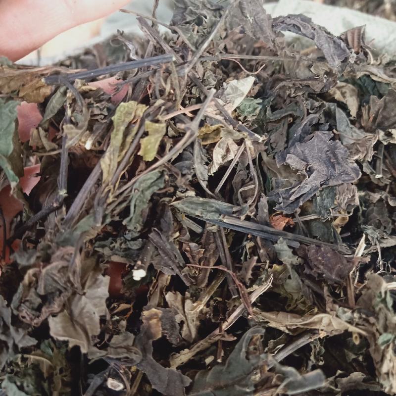 大青叶全叶有大貨，颜色好看，量大从优，真实材，看中找我下