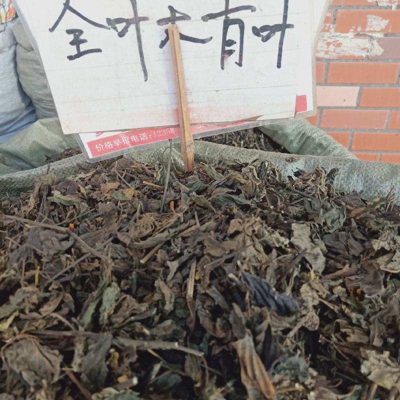 大青叶全叶有大貨，颜色好看，量大从优，真实材，看中找我下
