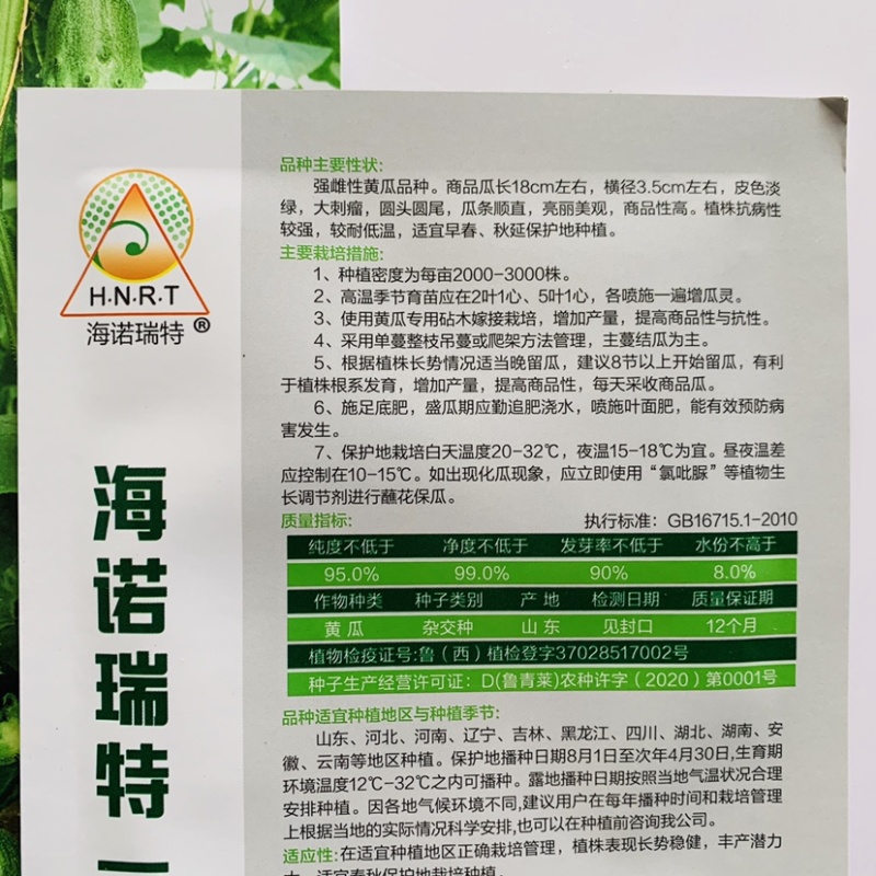 强雌性黄瓜种子大刺瘤旱黄瓜种籽瓜色淡绿瓜条顺直高产