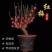新品腊梅花盆栽地栽阳台庭院浓香型花绿植四季开花植物带花苞