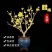 新品腊梅花盆栽地栽阳台庭院浓香型花绿植四季开花植物带花苞