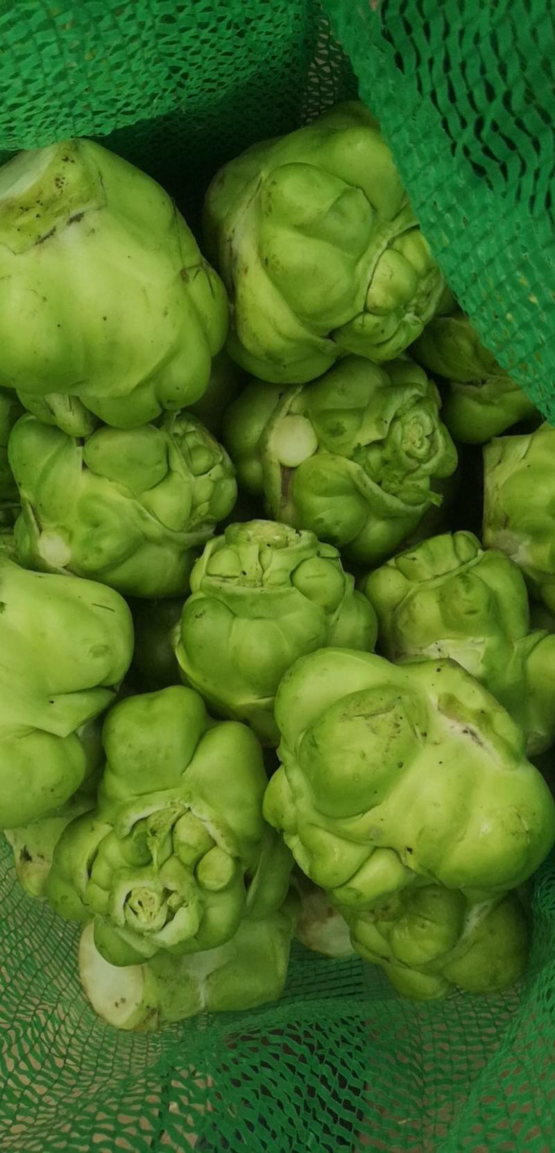 榨菜四川榨菜鲜榨菜基地大量有货有需要的老板联系
