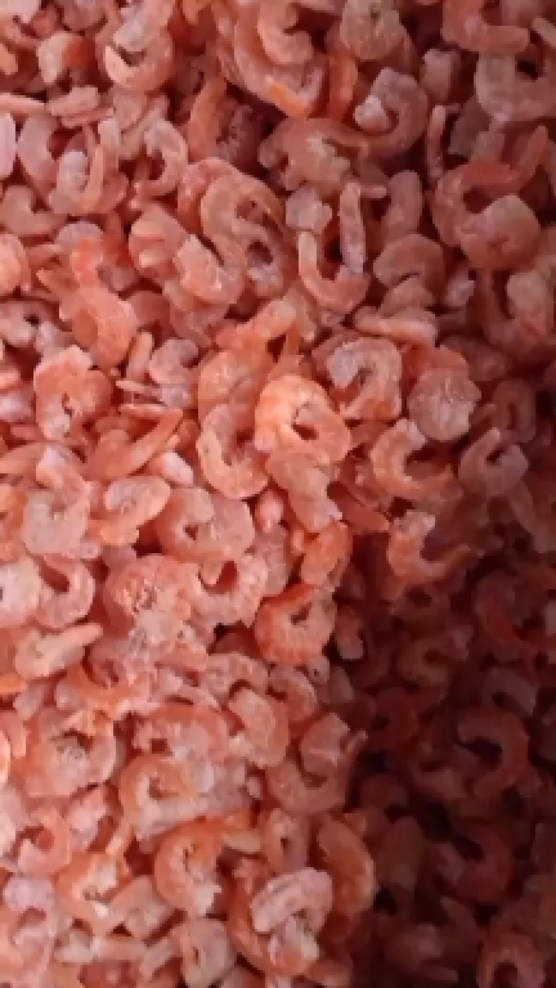 对虾海米大虾仁自己加工微盐产地直发