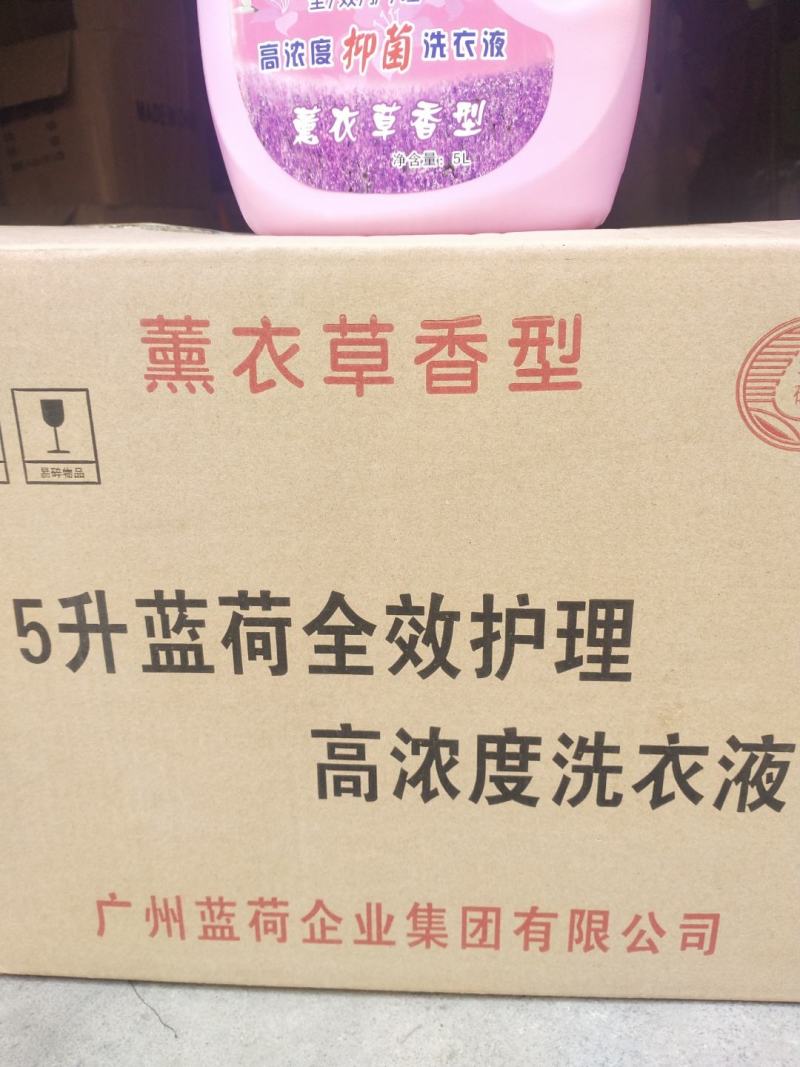 洗衣液蓝荷洗衣液，5升大桶，去污，芳香，实惠大品牌值