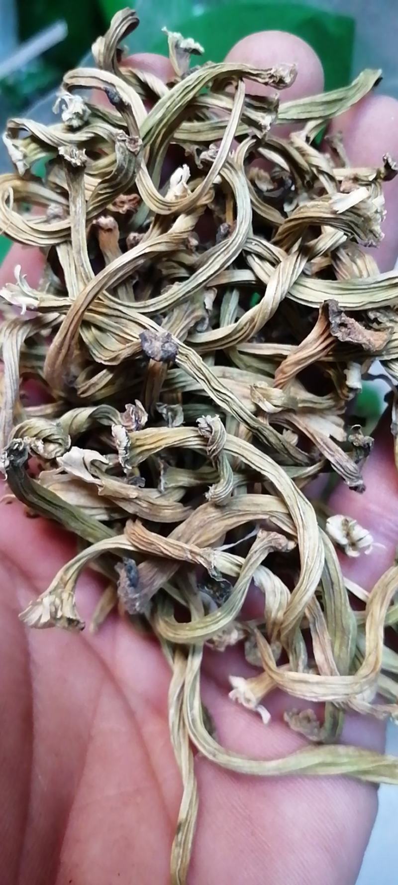 甜瓜蒂苦丁香瓜蒂干货无硫不满意可退换货