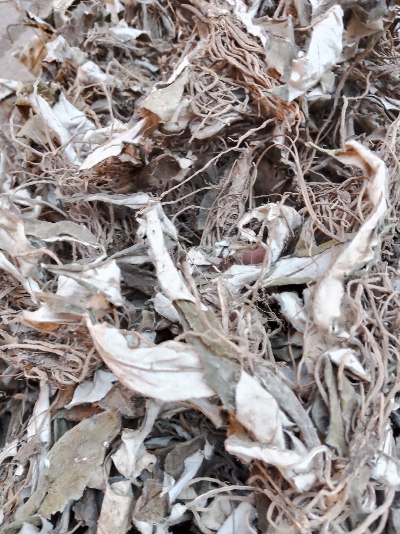 云南大山出产天青地白草，纯干货，批发不零售