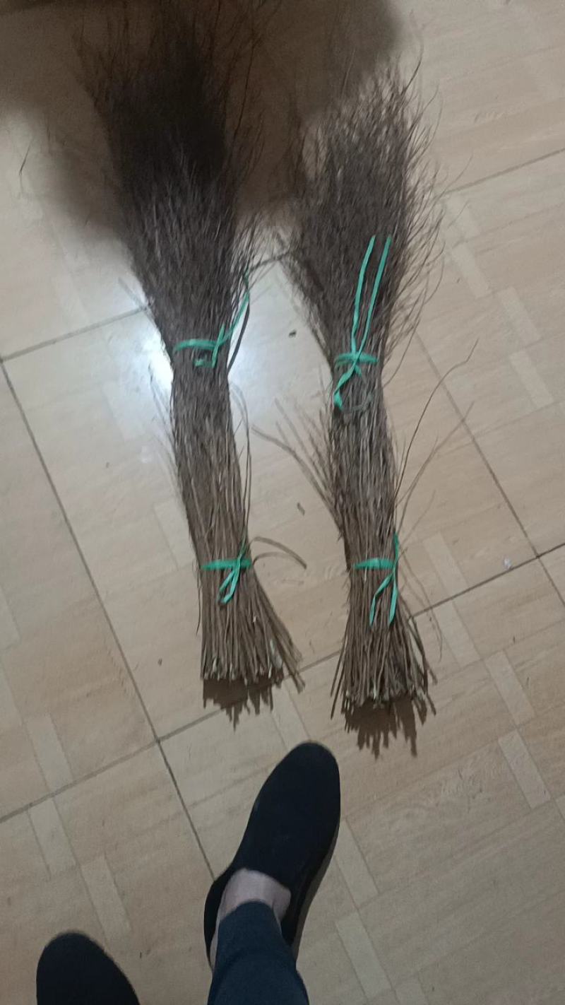 【优质】珍珠绣线菊大量现货，基地直发，欢迎看货联系