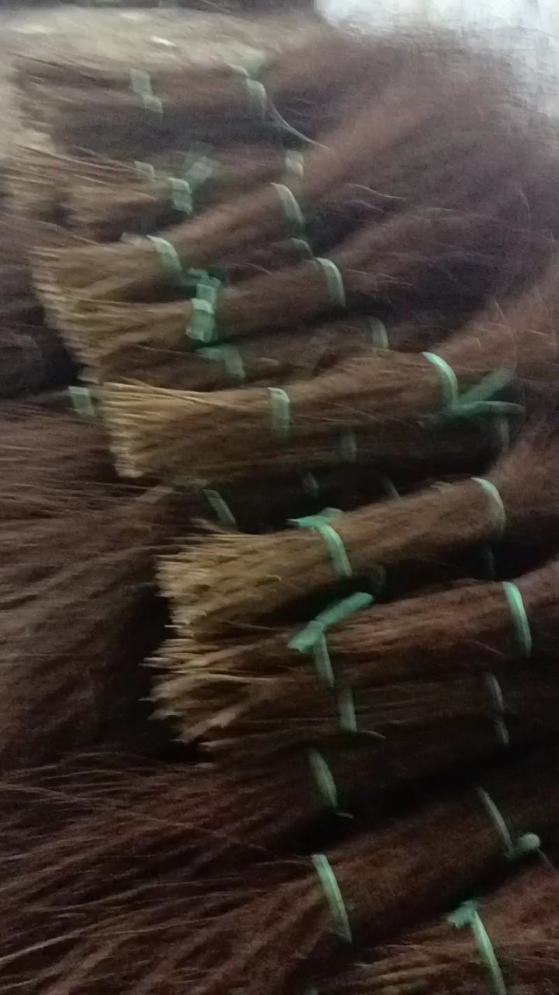【优质】珍珠绣线菊大量现货，基地直发，欢迎看货联系