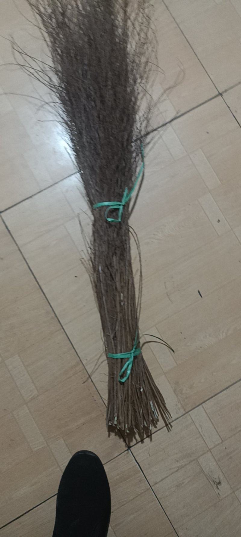 【优质】珍珠绣线菊大量现货，基地直发，欢迎看货联系