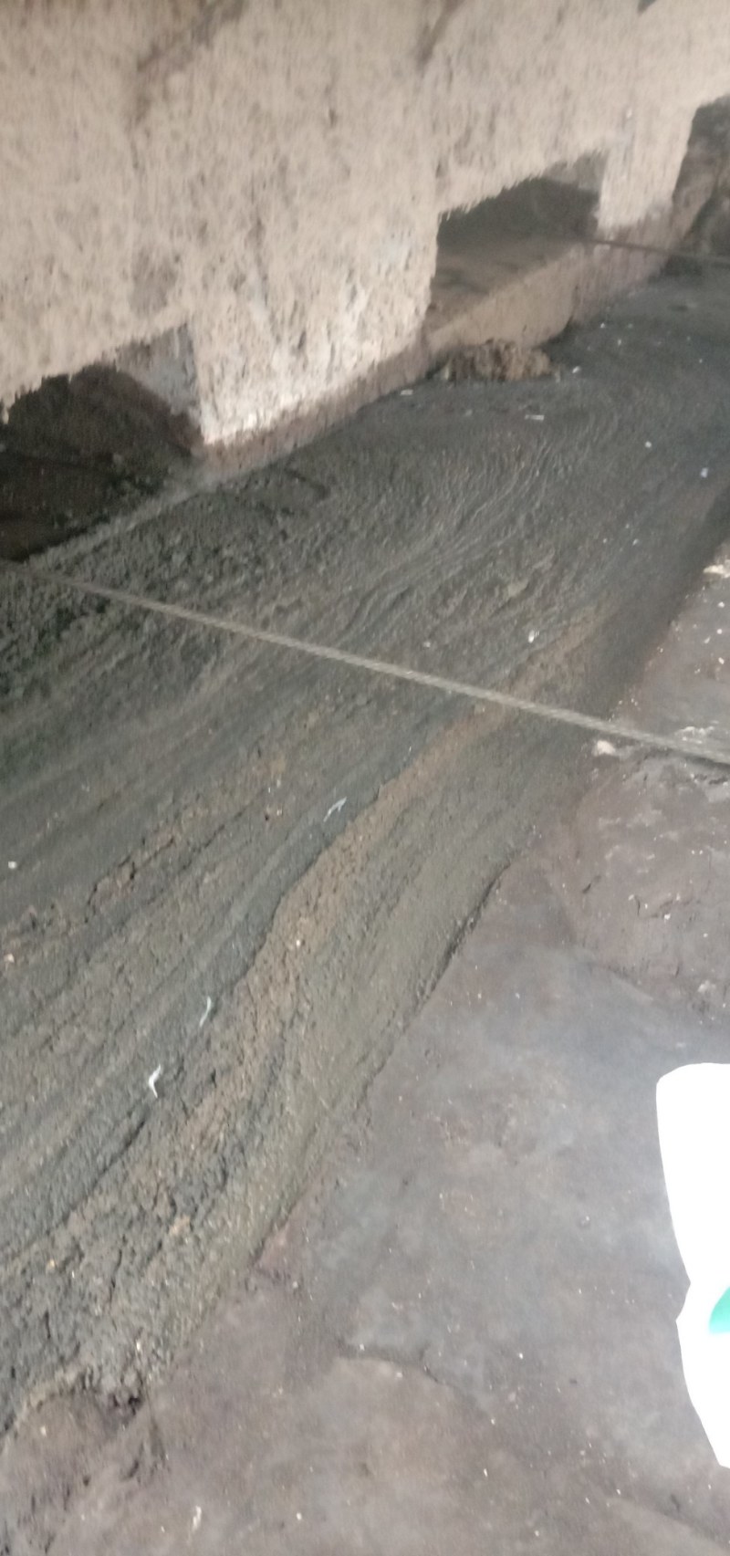 鸡粪