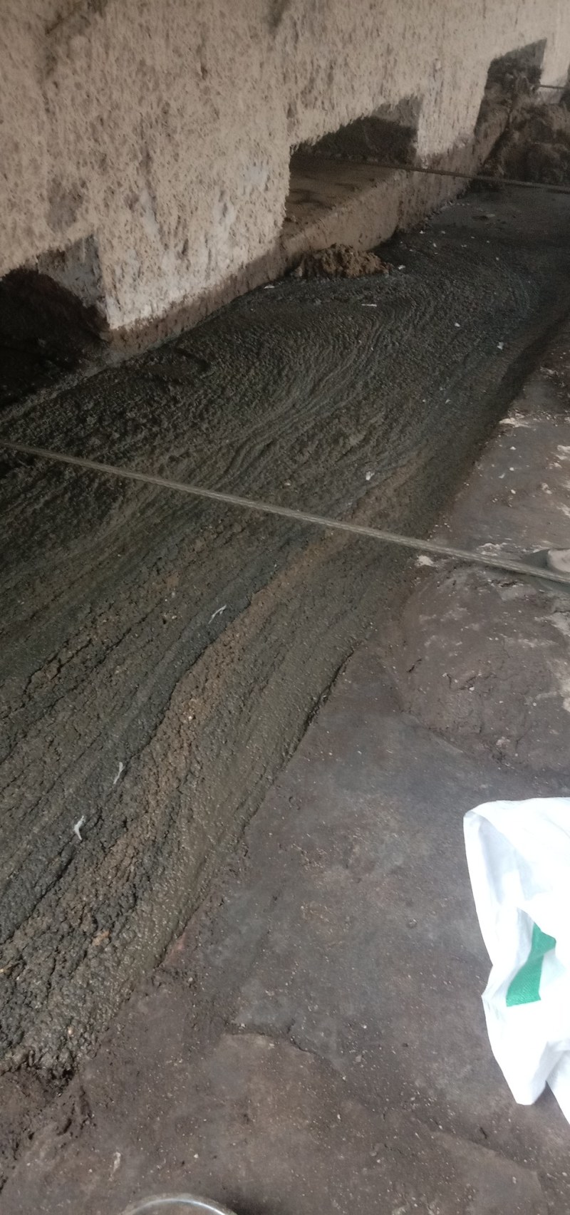鸡粪