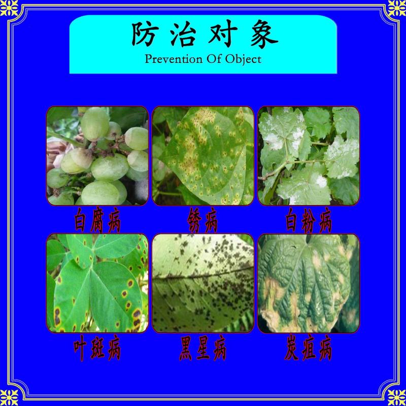 嘉绿元25%氟硅唑咪鲜胺炭疽病白腐病白粉病黑星病叶斑病
