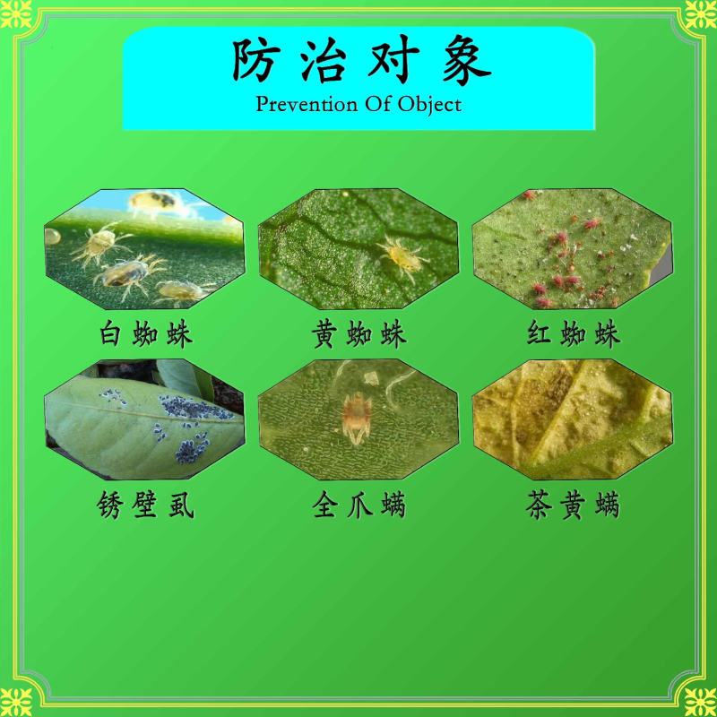 22%阿维螺螨酯白蜘蛛红蜘蛛黄蜘蛛锈壁虱茶黄螨二斑叶螨