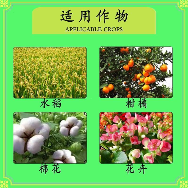 22%阿维螺螨酯白蜘蛛红蜘蛛黄蜘蛛锈壁虱茶黄螨二斑叶螨