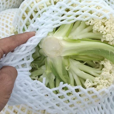 有机花菜