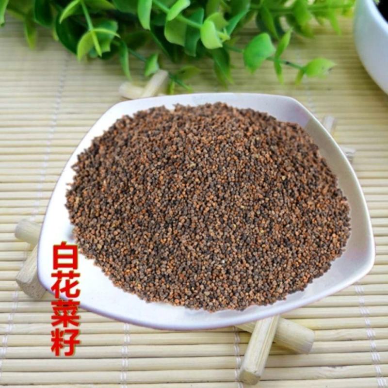 白花菜子正品中药材包邮干净无杂做膏药正品