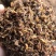 鲜白酒糟，牛羊育肥，代替草料，五中粮食酿造，大厂货品质保