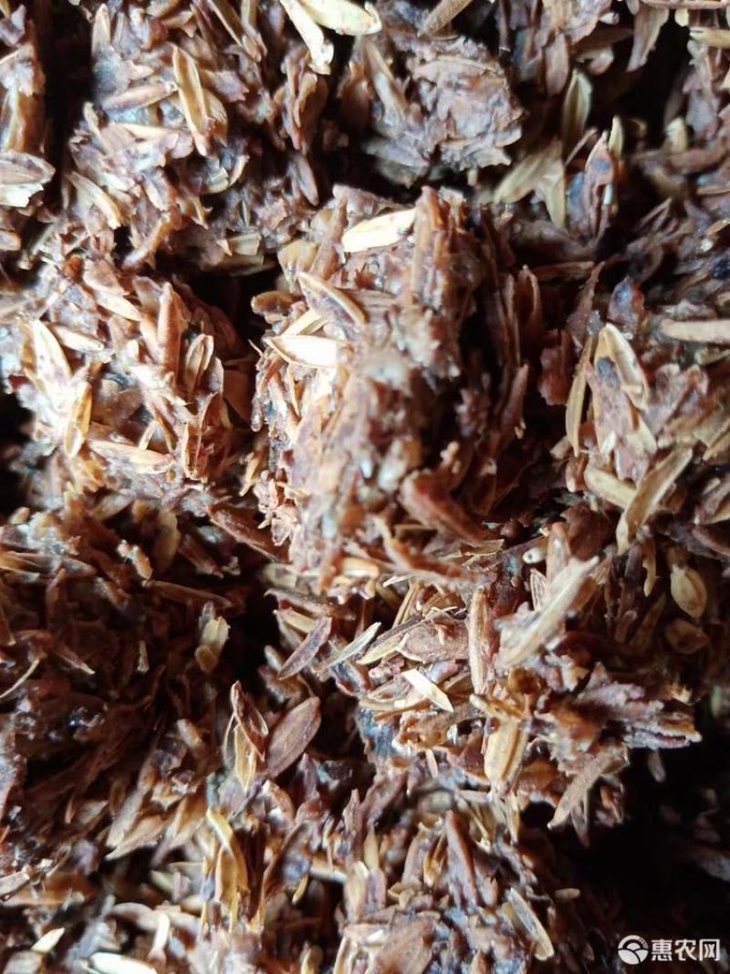 鲜白酒糟，牛羊育肥，代替草料，五中粮食酿造，大厂货品质保