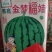 金梦福娃西瓜种子，早熟。果型大，单瓜重，7-12公斤左右