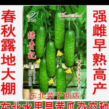 【水果黄瓜】种子露地保护地早熟绿美人雌性旱黄瓜种子