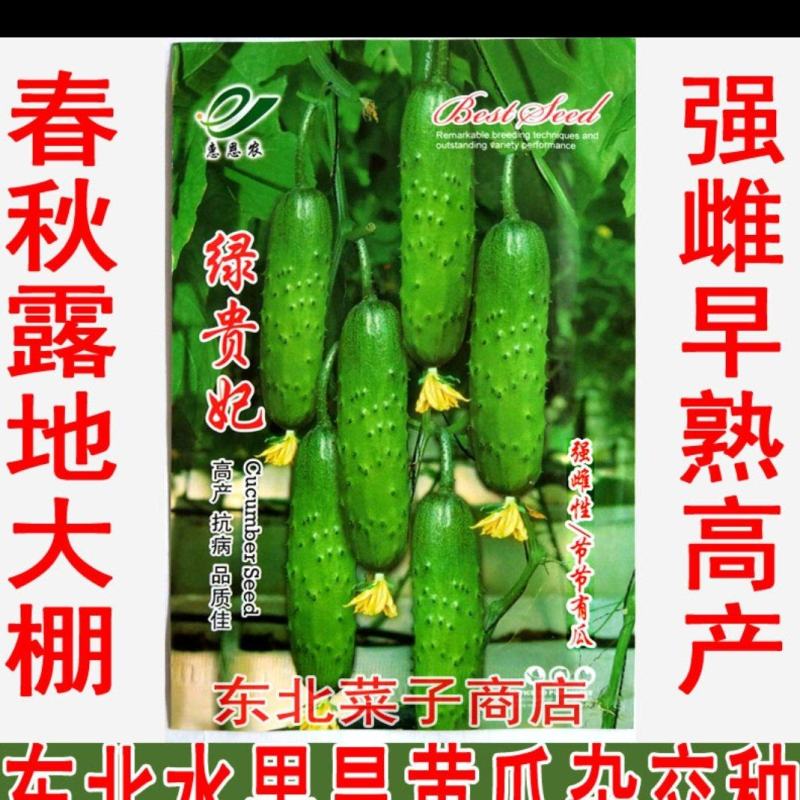 【水果黄瓜】种子露地保护地早熟绿美人雌性旱黄瓜种子