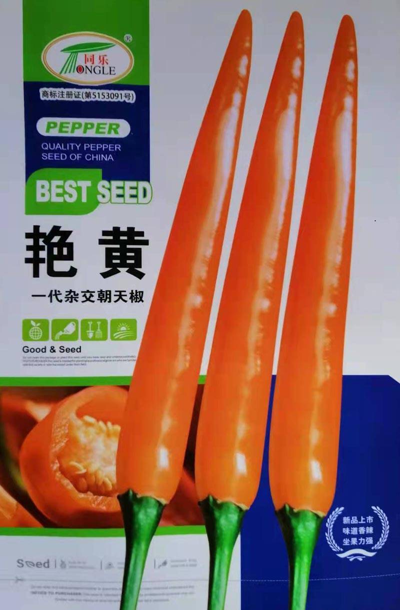 艳黄朝天椒黄辣椒黄米椒黄贡椒高产辣椒种子一袋五克正品包邮
