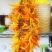 艳黄朝天椒黄辣椒黄米椒黄贡椒高产辣椒种子一袋五克正品包邮